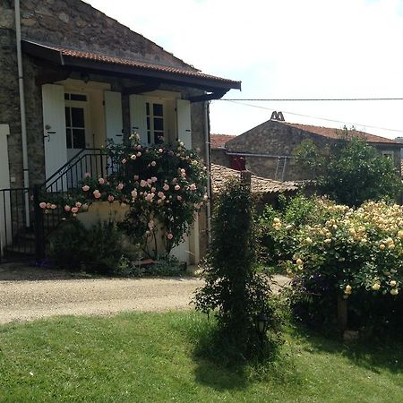 Le Vitrier Villa Saint-Jean-de-Muzols Eksteriør billede